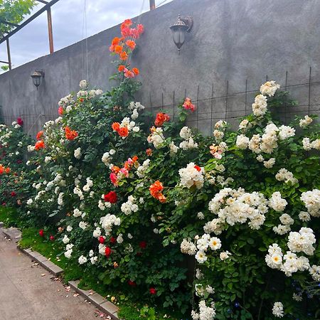 Hillside Guest House 예레반 외부 사진