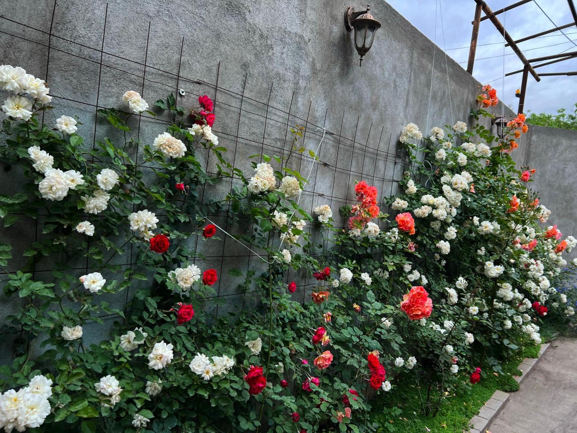 Hillside Guest House 예레반 외부 사진