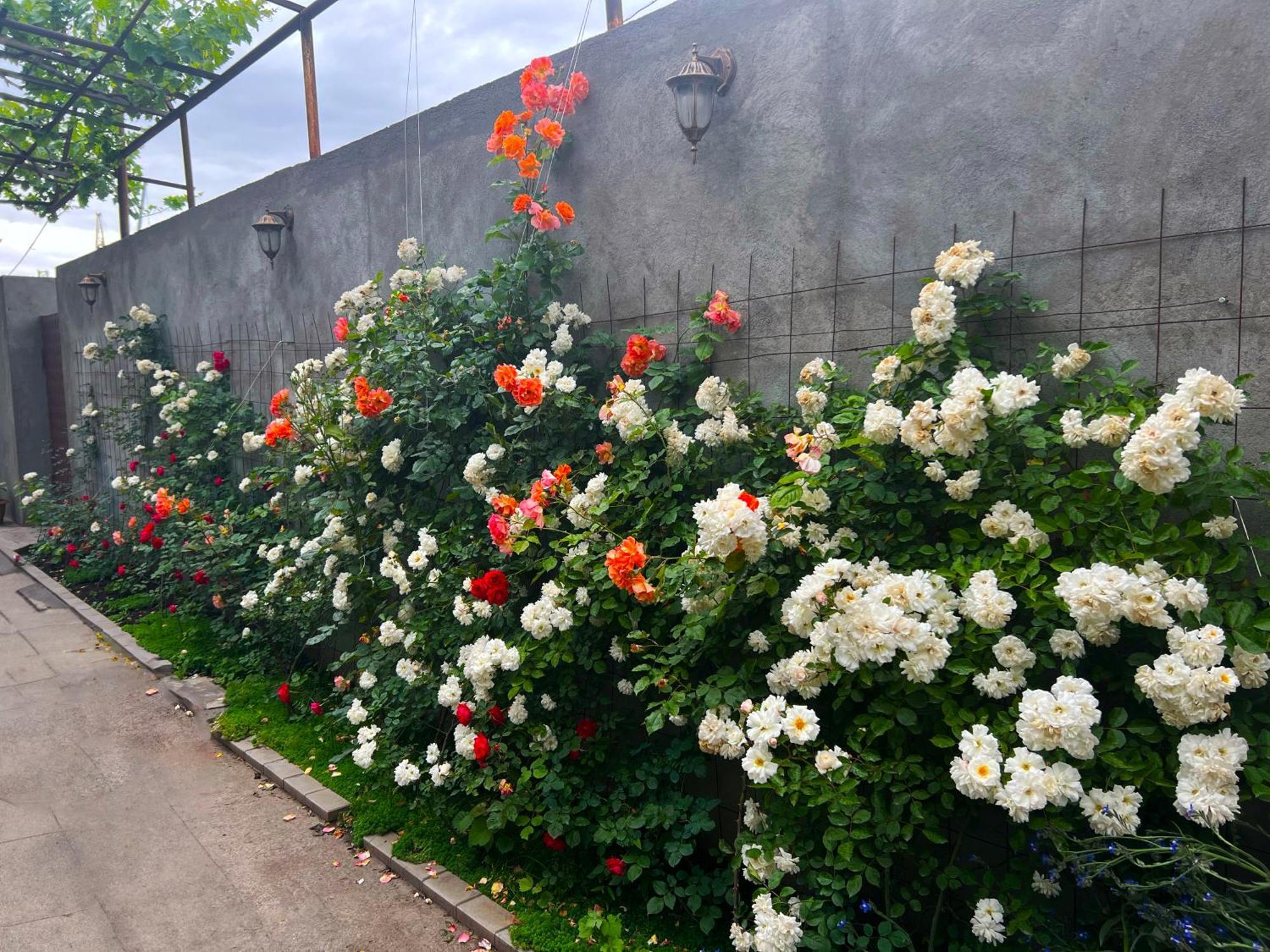 Hillside Guest House 예레반 외부 사진